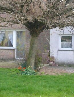 Vielseitiges 2-Familienhaus in Süd-West-Lage, mit Garage, Anbau, großem Garten - Lippstadt