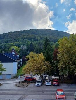 Tageslicht verwöhntes, teilmöbliertes, gepflegtes Südbalkon-Apartment mit Lift & hübschen Ausblick - Bad Harzburg