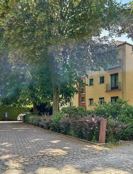 Bezugsfrei - sofort verfügbar - Charmante 3-Zimmer-Wohnung mit Balkon in ruhiger Lage in Berlin - Berlin