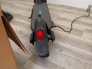 Ninebot G30D II - Bochum Werne