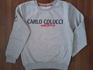 Carlo Colucci - Herren Sweatshirt - Gr. M - NEU - Hamburg