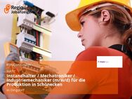 Instandhalter / Mechatroniker / Industriemechaniker (m/w/d) für die Produktion in Schönecken - Dingdorf