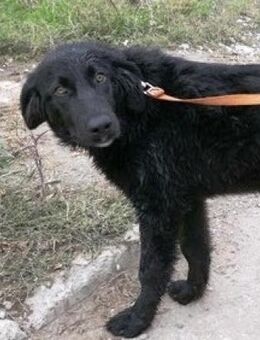 Claudine ist sehr freundlich + offen - Karben