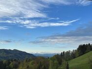 Sanierte 4 Zimmer Whg. Mit Traumhaften Blick in die Alpen - Kleines Wiesental