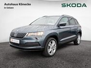 Skoda Karoq, 1.6 TDI Style, Jahr 2019 - Uelzen