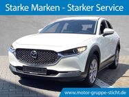 Mazda CX-30, Selection # # # #, Jahr 2023 - Bayreuth