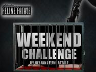 BDSM CHALLENGE mit Herrin Feline Fatale - Berlin