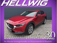 Mazda CX-30, 2.0 l (150PS) Selection Design iActiv-Paket, Jahr 2021 - Hoyerswerda