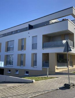 tolles Penthouse mit 3,5 Zimmern zu mieten in Leinfelden-Echterdingen Stetten - Leinfelden-Echterdingen
