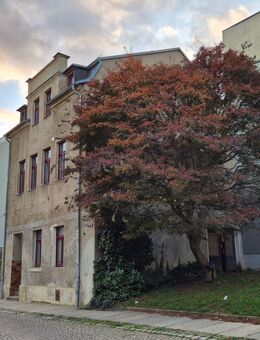 Haus mit Flair in Reichenbach - Reichenbach (Vogtland)