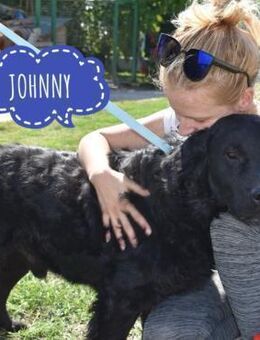 Johnny ein absoluter Schatz - Mannheim