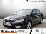 Skoda Octavia, 1.6 TDI Combi Joy, Jahr 2016 - Bramsche