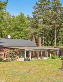 Amerikanischer 4-Zimmer-Bungalow mit großer Terrasse in toller Lage in Buchholz OT Holm-Seppensen - Buchholz (Nordheide)