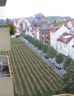 .....wohnen mit Blick über die Dächer von Worms - Worms