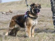 Jessy, ein Sechser im Lotto - Puchheim