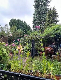 3 Familienhaus in Neuss zu verkaufen. - Neuss