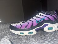 Nike Air Max plus reverse grape gr.40 - Warstein