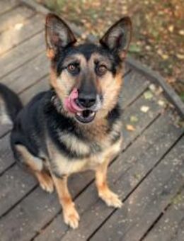 Aktiver Vegas sucht seine Menschen - Duisburg