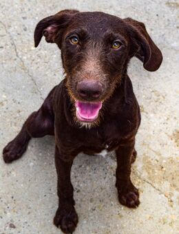 Neela - unkompliziert, offen, zuckersüß - Velbert