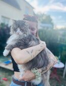 Schmusekatze gesucht <3 in 04103