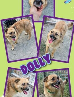 Süße Dolly wartet schon so lange! - Nürnberg