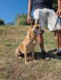 🆘 RUBY in 91616 Neusitz sucht ♥️‼️‼️‼️ - München