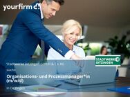 Organisations- und Prozessmanager*in (m/w/d) - Ditzingen