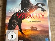 Black Beauty Film - Mönchengladbach