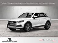 Audi Q5, 40 TDI design quattro Alcantra, Jahr 2019 - Goslar