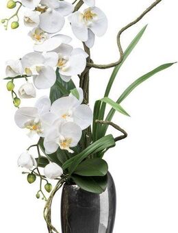 Kunstorchidee Orchidee Phalaenopsis, Creativ green, Höhe 68 cm, mit real-touch-Blüten