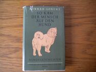 So kam der Mensch auf den Hund,Konrad Lorenz,Borotha Schoeler Verlag,1954 - Linnich