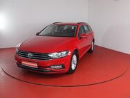 VW Passat Variant Business 1.6TDI DSG 249,-ohne Anz - Horn-Bad Meinberg