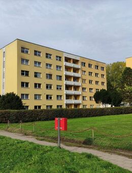 +++ Eigentumswohnung in Barth +++ - Barth