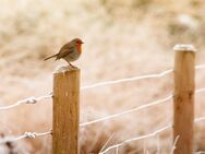 Frostige Momente draußen, warme Erinnerungen drinnen - Willkommen daheim! - Oer-Erkenschwick