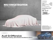 Audi SQ2, TFSI quattro, Jahr 2024 - Ursensollen