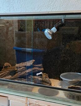 Terrarium mit Zubehör - Schöllnach