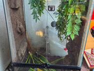 Terrarium Exo Terra 60x45x90 - Berlin Neukölln