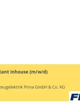 ERP Consultant Inhouse (m/w/d) - Pirna