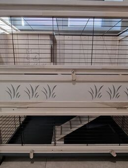 Zwergkaninchen Innenstall Holz 2 Etagen - Markkleeberg