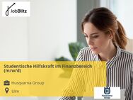 Studentische Hilfskraft im Finanzbereich (m/w/d) - Ulm