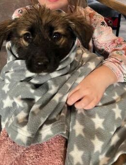 Robby - Recklinghausen