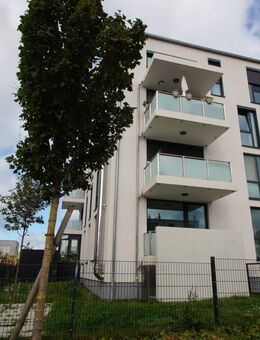 Barrier-free apartment, 10 minutes from Clay Kaserne, with garden and underground parking space - Wiesbaden