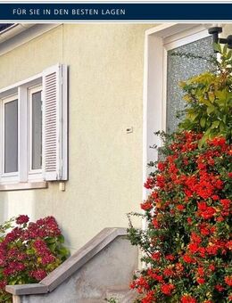 Kleinod auf großem Grund - Alzenau