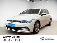 VW Golf, 2.0 TDI VIII Life, Jahr 2020 - Bitterfeld-Wolfen