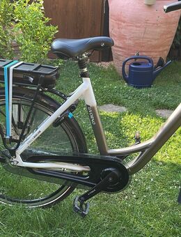 Damen E-Bike 26 Zoll mit Rücktrittbremse zu Verkaufen ! - Elsdorf (Nordrhein-Westfalen)