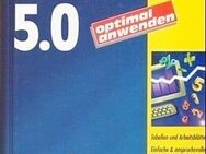 EXCEL 5.0 - optimal anwenden - Andernach