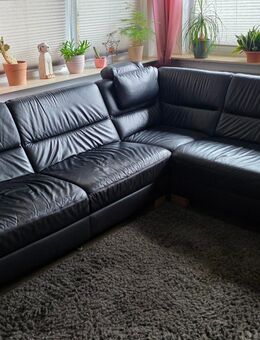 Leder Couch - Schmallenberg