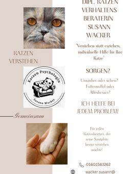 Dipl Katzenverhaltensberaterin - Enger (Widukindstadt)