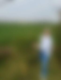 Bär*** - Halle (Saale)