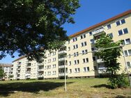 Familienfreundliche 4-Raum Wohnung in Sandersdorf - Sandersdorf Sandersdorf